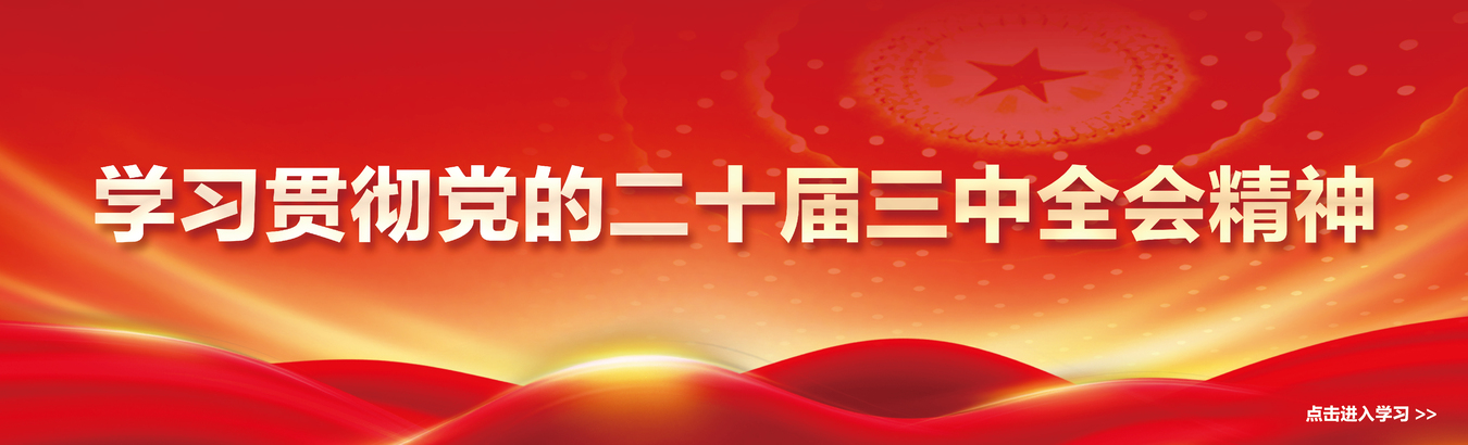 党的二十届三中全会