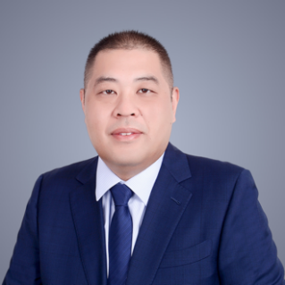 宋振亚 研究员